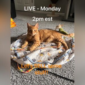 Live show  Use + sign